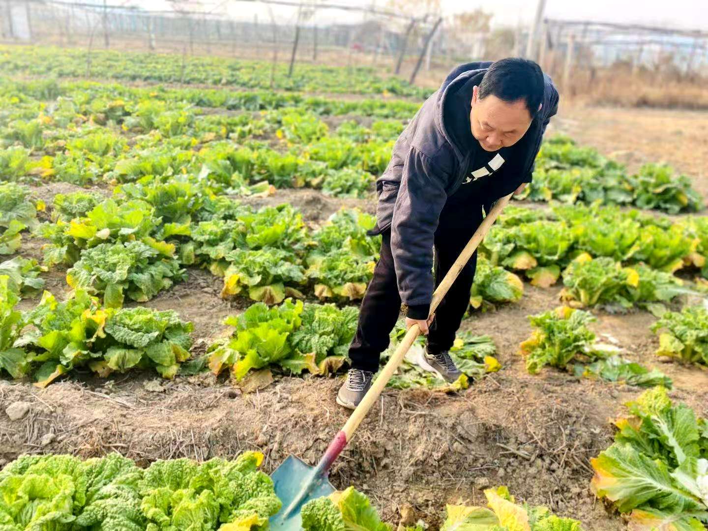 千禾课堂|食物即药物 Food is Medicine