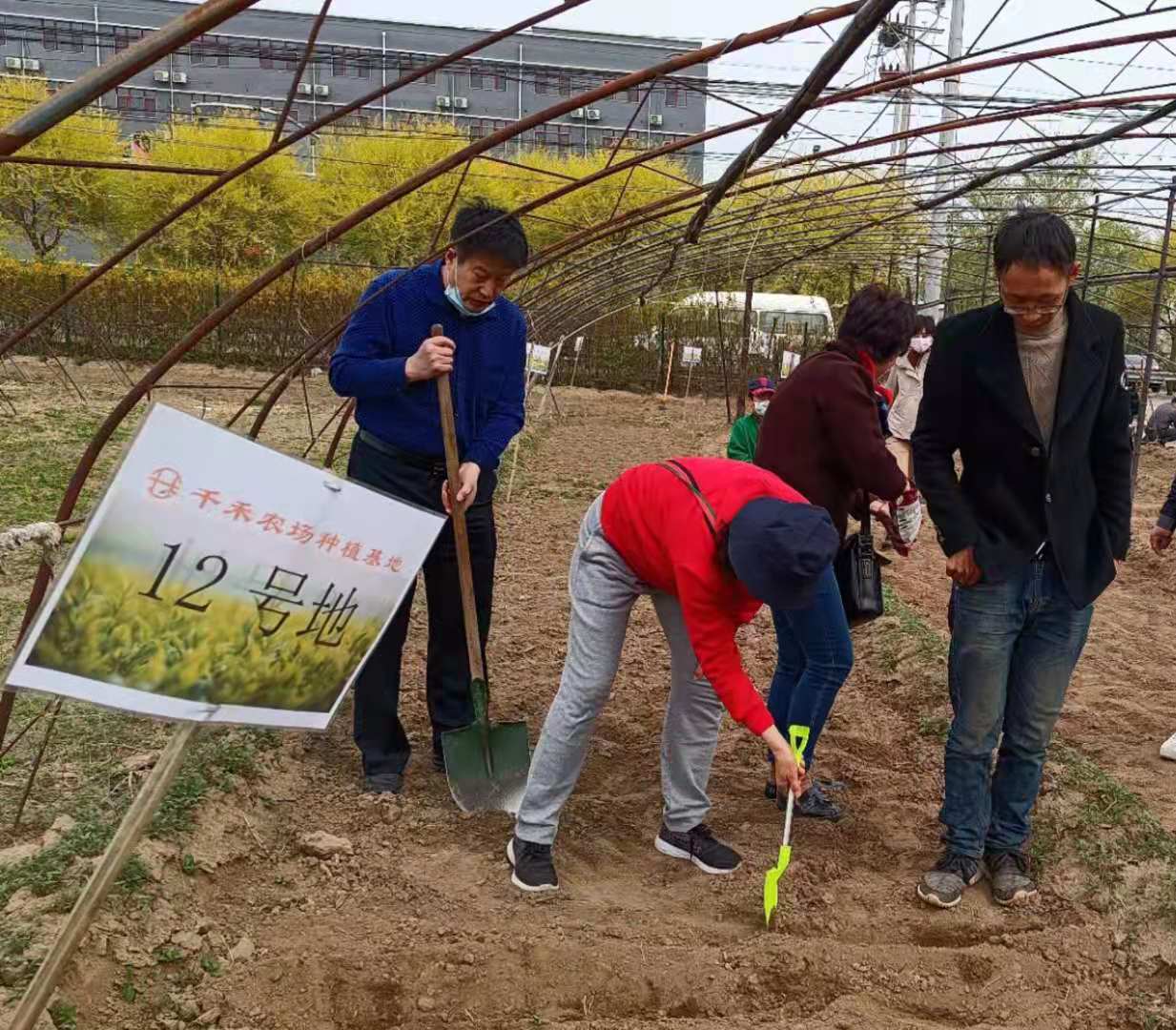 当养老遇上田园诗——千禾养老私家菜园开耕啦！
